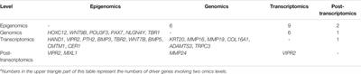 Identification of Novel Lung Cancer Driver Genes Connecting Different Omics Levels With a Heat Diffusion Algorithm